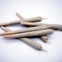 Délicieuse Détente : 5 Joints Pré-Rolls Berry, Lemon,